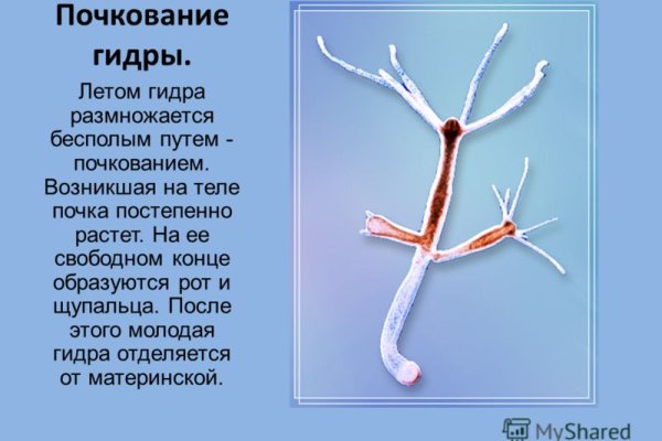 Сайт кракен россия