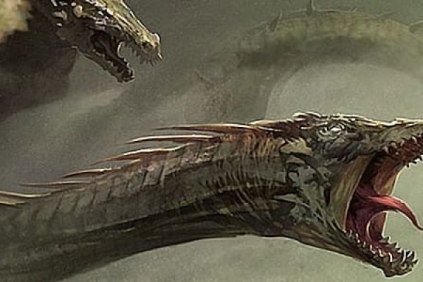 Kraken 24at