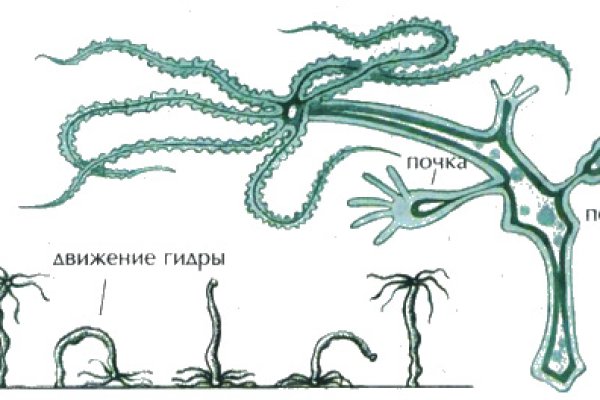 Кракен с айфона