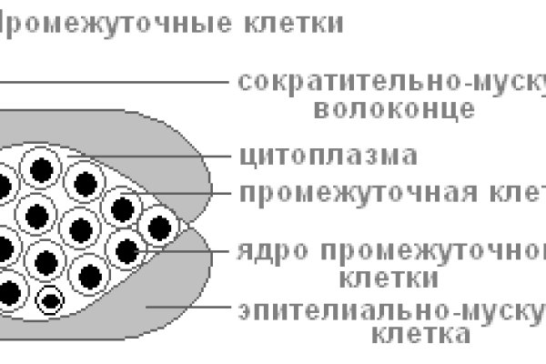 Ссылка на кракен официальный