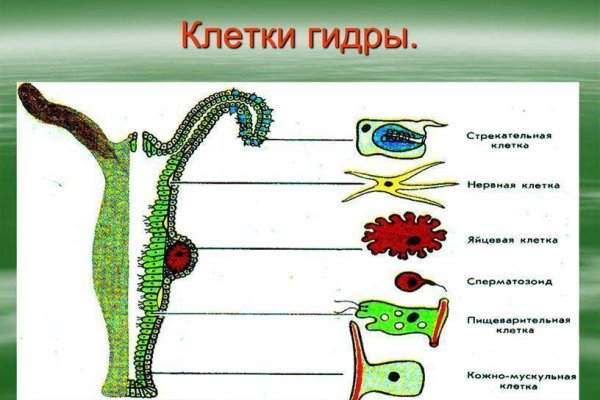 Кракен плейс
