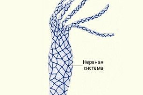 Кракен зайти