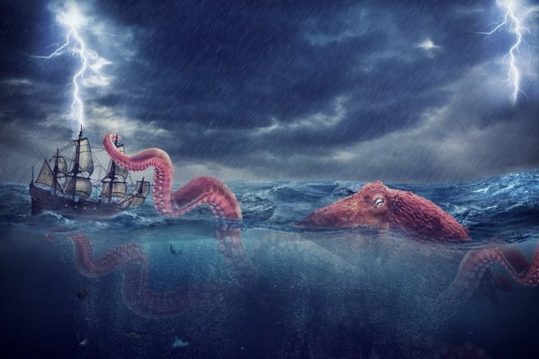 Kraken19 at